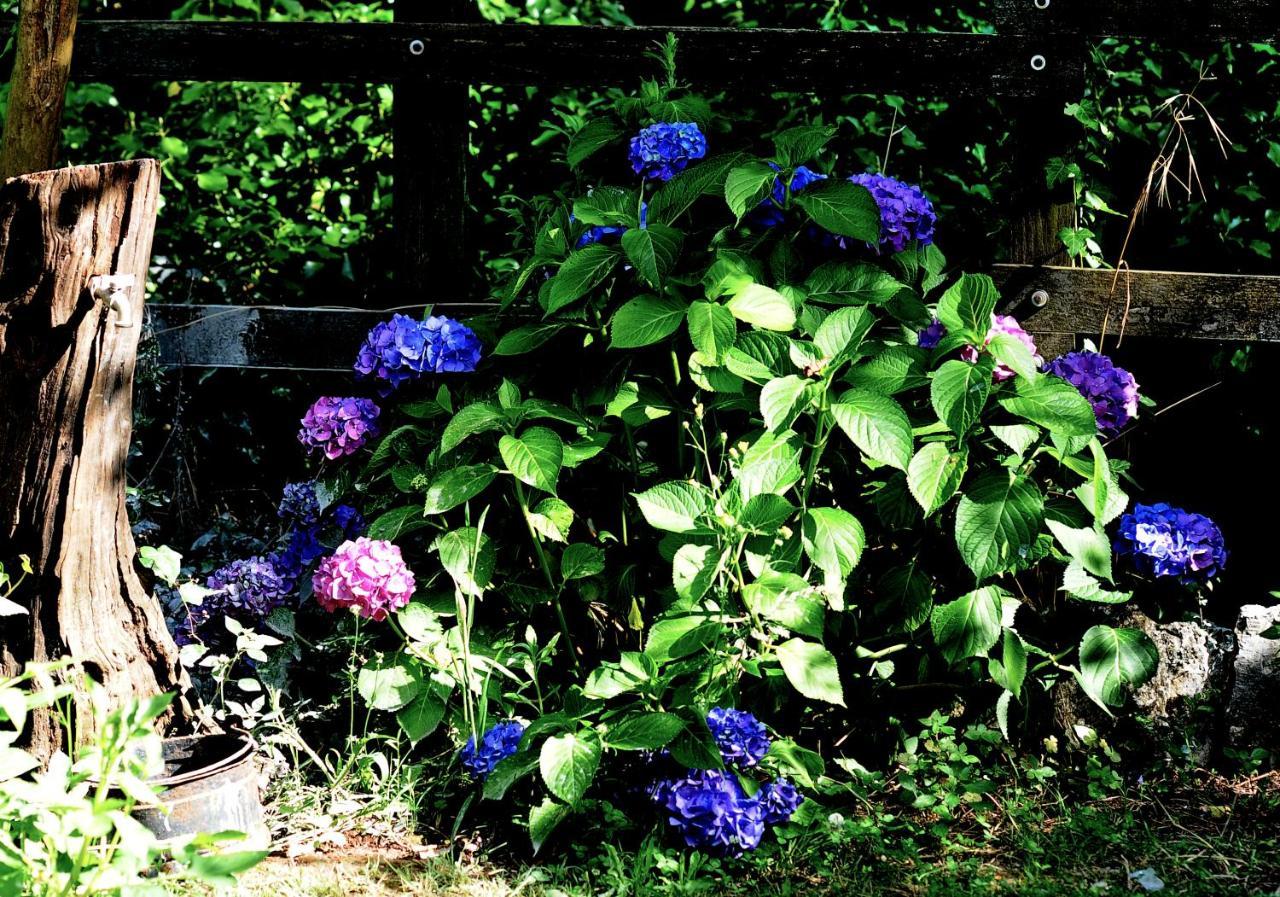Country House Sezze Eksteriør bilde
